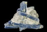 Vibrant Blue Kyanite Crystal Cluster In Quartz - Brazil #113463-1